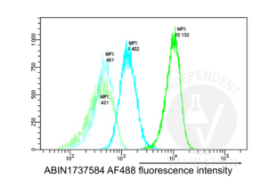 Flow Cytometry validation image for anti-Nucleophosmin (Nucleolar phosphoprotein B23, Numatrin) (NPM1) (AA 250-298), (C-Term) antibody (ABIN1737584) (NPM1 antibody  (C-Term))
