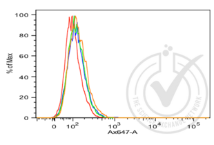 Flow Cytometry validation image for anti-Cadherin 1, Type 1, E-Cadherin (Epithelial) (CDH1) (AA 401-500) antibody (ABIN1387847) (E-cadherin antibody  (AA 401-500))