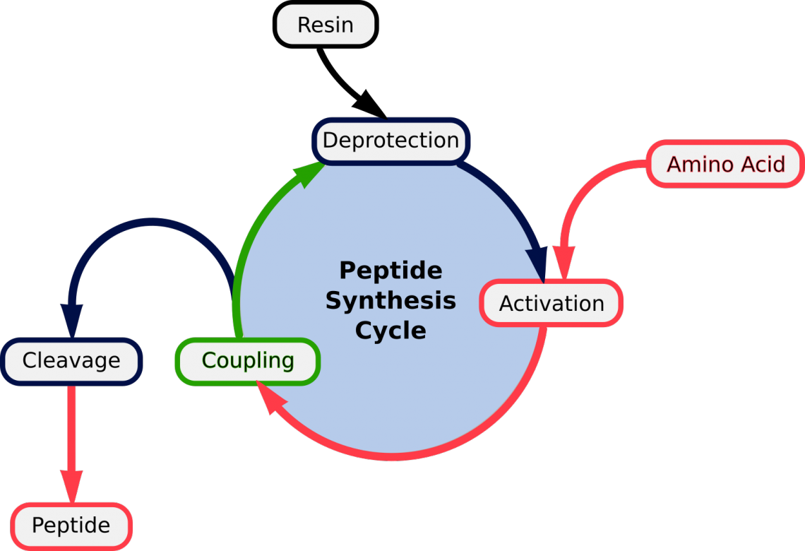 peptide synthesis methods and reagents solid phase peptide synthesis