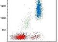 Magnetic ConA Beads (Agarose) for CUT&RUN/CUT&Tag ABIN6952467