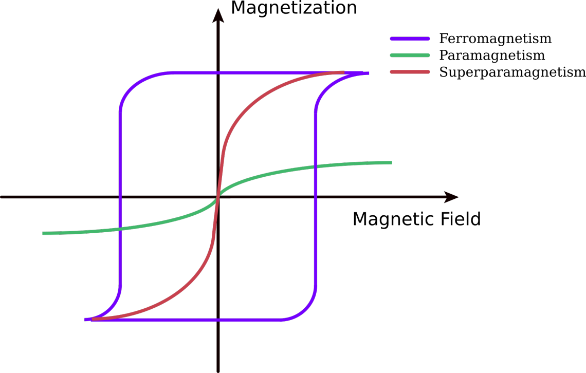 Figure 2. Under the influence of a magnetic field paramagnetic materials are magnetized, but when the magnetic field is removed this magnetization goes to zero. On the contrary, ferromagnetic materials present a remanent magnetization (MR) in the absence of the magnetic field. Superparamagnetic materials share properties of ferromagnetism and paramagnetism. Figure 2. Under the influence of a magnetic field paramagnetic materials are magnetized, but when the magnetic field is removed this magnetization goes to zero. On the contrary, ferromagnetic materials present a remanent magnetization (MR) in the absence of the magnetic field. Superparamagnetic materials share properties of ferromagnetism and paramagnetism.