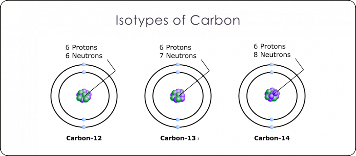 antibodies definition for dummies