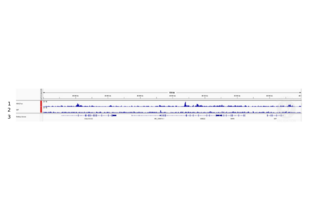 Cleavage Under Targets and Release Using Nuclease validation image for anti-Histone 3 (H3) (H3K27ac) antibody (ABIN2668475)