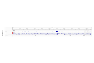 Cleavage Under Targets and Release Using Nuclease validation image for anti-Histone 3 (H3) (H3K9ac) antibody (ABIN2667854)