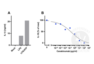 ELISA validation image for Interleukin 1, beta (IL1B) ELISA Kit (ABIN411293)