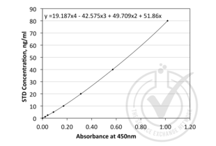 ELISA validation image for Angiopoietin 1 (ANGPT1) ELISA Kit (ABIN810667)