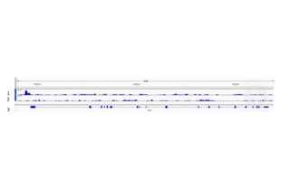 Cleavage Under Targets and Release Using Nuclease validation image for anti-ALX Homeobox 4 (ALX4) (AA 249-275) antibody (ABIN2844113) (ALX4 antibody  (AA 249-275))