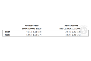 Summary of staining intensity with antibody compared to diluent control. Parentheses show number of measurements.