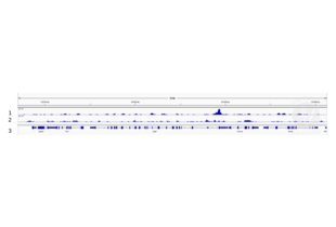 1. Alignment tracks from CUT&RUN targeting HOXA13 in mouse fore limb (11.5 DAC) cells using anti-HOXA13 antibody ABIN1386749, showing the Usp5 locus. 2. Alignment tracks using negative control IgG, ABIN101961. 3. RefSeq Genes.