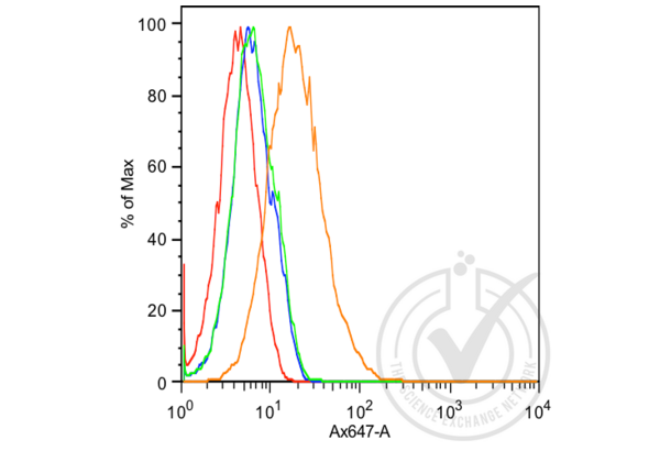 CDH6 antibody  (AA 281-380)