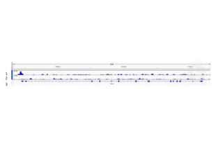 Cleavage Under Targets and Release Using Nuclease validation image for anti-Nipped-B like Protein (NIPBL) (AA 2651-2805) antibody (ABIN1714202)