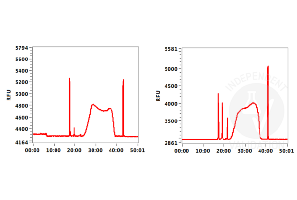 Magnetic Concanavalin A Beads (Agarose)