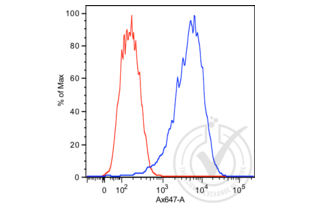 Prostate Specific Antigen Antikörper