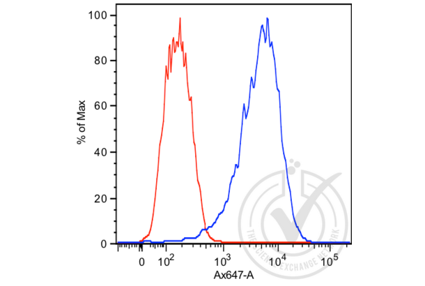 Prostate Specific Antigen Antikörper