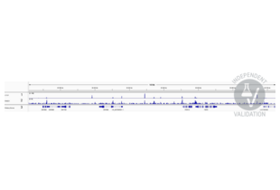 1. Alignment tracks from CTCF CUT&RUN in HEK293T cells. 2. Alignment tracks from CUT&RUN targeting RAD21 in HEK293T cells using ABIN2856242 antibody showing the FBRS locus. 3. RefSeq Genes. 