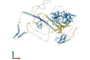 AlphaFold protein structure predicition of Mouse Recombinant Smarca2 Protein, UniprotID Q6DIC0 (SMARCA2 Protein (AA 1-1577) (His tag))