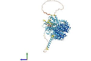 AlphaFold protein structure predicition of Human Recombinant PSMD1 Protein, UniprotID Q99460