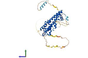 Protein Structure (PS) image for Increased Sodium Tolerance 1 Homolog (IST1) (AA 1-364) protein (His tag) (ABIN7554225)