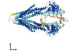 AlphaFold protein structure predicition of Human Recombinant ABCB5 Protein, UniprotID Q2M3G0 (ABCB5 Protein (AA 1-1257) (His tag))