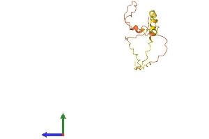 AlphaFold protein structure predicition of Human Recombinant LINC00588 Protein, UniprotID Q9Y4M8 (C8orf71 Protein (AA 1-146) (His tag))
