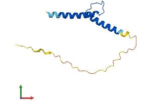 AlphaFold protein structure predicition of Human Recombinant TAL2 Protein, UniprotID Q16559 (TAL2 Protein (AA 1-108) (His tag))