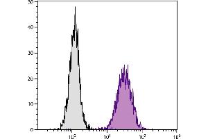 Human HPV-16/transformed cell line HS-5 was stained with Mouse Anti-Human CD51-PE. (CD51 antibody)