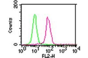 IKK alpha Flow Cytometry Flow Cytometry of Mouse Anti-IKK alpha antibody. (IKK alpha antibody)
