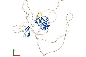 AlphaFold protein structure predicition of Human Recombinant MBD4 Protein, UniprotID O95243 (MBD4 Protein (AA 1-580) (His tag))