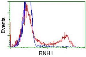 HEK293T cells transfected with either RC208360 overexpress plasmid (Red) or empty vector control plasmid (Blue) were immunostained by anti-RNH1 antibody (ABIN2453613), and then analyzed by flow cytometry. (RNH1 antibody)