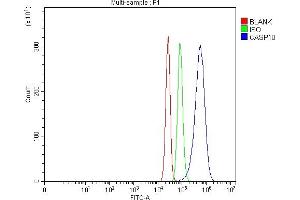 Flow Cytometry analysis of SiHa cells using anti-Caspase-10/CASP10 antibody (ABIN7601039). (Caspase 10 antibody  (AA 271-482))