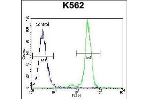 C Antibody (Center) (ABIN655633 and ABIN2845112) flow cytometric analysis of K562 cells (right histogram) compared to a negative control cell (left histogram). (CPA3 antibody  (AA 255-284))