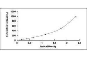 Typical standard curve (IL-6 ELISA Kit)