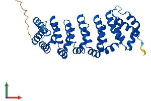 AlphaFold protein structure predicition of Human Recombinant CAB39L Protein, UniprotID Q9H9S4