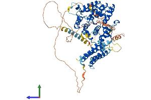 AlphaFold protein structure predicition of Mouse Recombinant Git2 Protein, UniprotID Q9JLQ2 (GIT2 Protein (AA 1-708) (His tag))