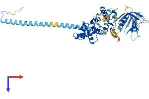 Cytohesin 1 Protein (CYTH1) (AA 1-398) (His tag)