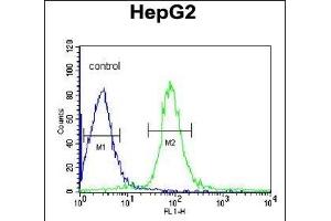 VHL Antibody (C-term) (ABIN390463 and ABIN2840833) flow cytometric analysis of HepG2 cells (right histogram) compared to a negative control cell (left histogram). (VHL antibody  (C-Term))