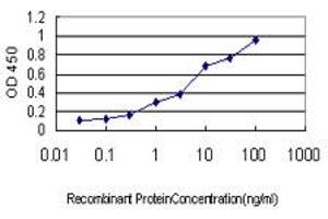 Detection limit for recombinant GST tagged GCG is approximately 0. (Glucagon antibody  (AA 1-180))
