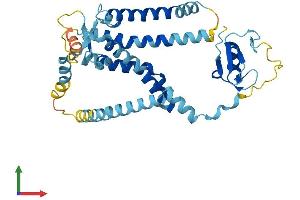 AlphaFold protein structure predicition of Human Recombinant PEX12 Protein, UniprotID O00623 (PEX12 Protein (AA 1-359) (His tag))