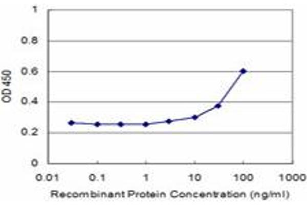 HIST2H2BE antibody  (AA 36-126)