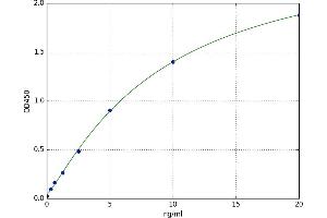 Dynamin 1 (DNM1) ELISA Kit