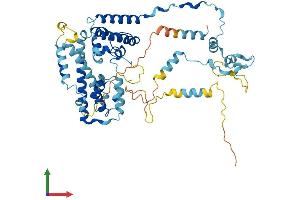 Protein Structure (PS) image for Pre-mRNA Processing Factor 31 (PRPF31) (AA 1-499) protein (His tag) (ABIN7559246)