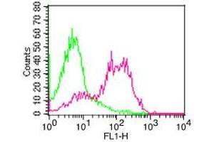 Flow Cytometry (FACS) image for anti-CD6 (CD6) antibody (FITC) (ABIN5027675)