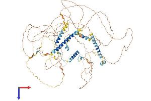 AlphaFold protein structure predicition of Human Recombinant FAM193B Protein, UniprotID Q96PV7 (FAM193B Protein (AA 1-902) (His tag))