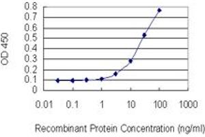 Detection limit for recombinant GST tagged PCGF6 is 1 ng/ml as a capture antibody. (PCGF6 antibody  (AA 225-324))
