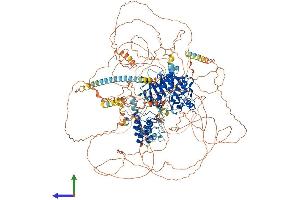 Protein Structure (PS) image for Testis Expressed 14 (TEX14) (AA 1-1497) protein (His tag) (ABIN7555707)