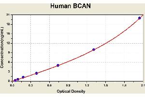 Diagramm of the ELISA kit to detect Human BCANwith the optical density on the x-axis and the concentration on the y-axis. (BCAN ELISA Kit)