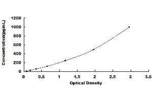 Typical standard curve (IL-4 ELISA Kit)