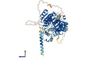 AlphaFold protein structure predicition of Mouse Recombinant Galnt11 Protein, UniprotID Q921L8 (GALNT11 Protein (AA 1-608) (His tag))