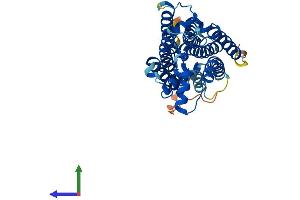 AlphaFold protein structure predicition of Human Recombinant PAQR9 Protein, UniprotID Q6ZVX9 (PAQR9 Protein (AA 1-377) (His tag))