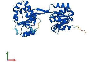 Protein Structure (PS) image for Uroporphyrinogen III Synthase (UROS) (AA 1-265) protein (His tag) (ABIN7563375)